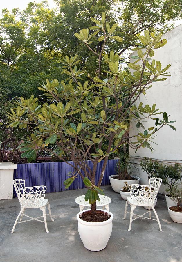 Bed and Breakfast Haveli Hauz Khas Nové Dillí Exteriér fotografie